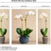 Set Of 3 - Image 2